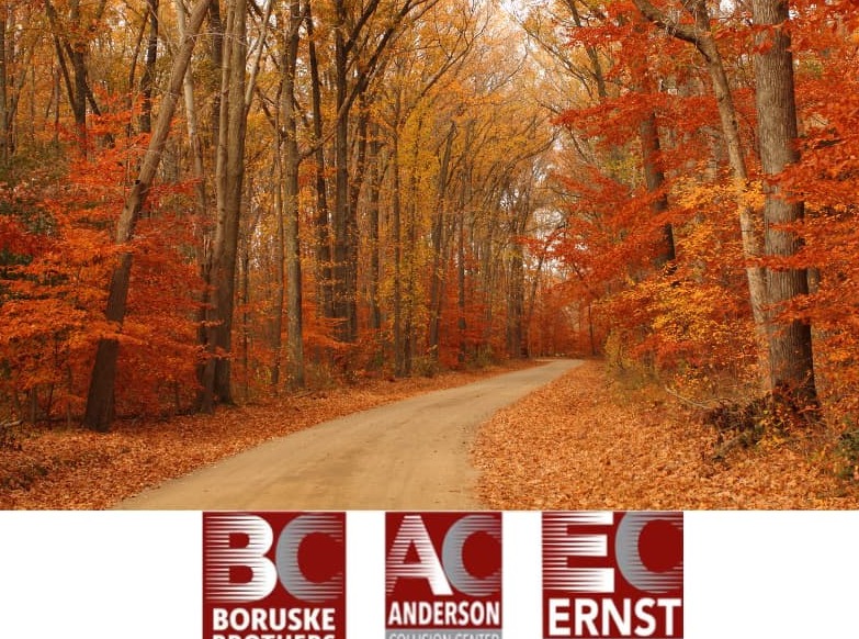 Stay Safe on Roads with Essential Fall Driving Tips