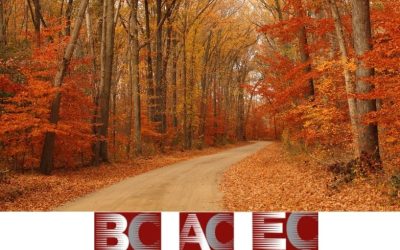 Stay Safe on the Roads with These Fall Driving Tips