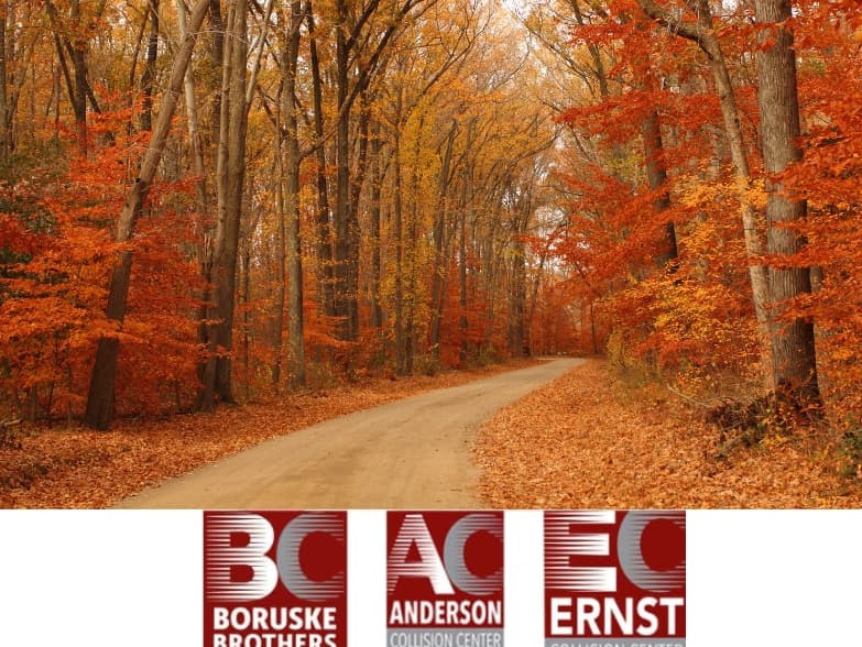 Stay Safe on the Roads with These Fall Driving Tips
